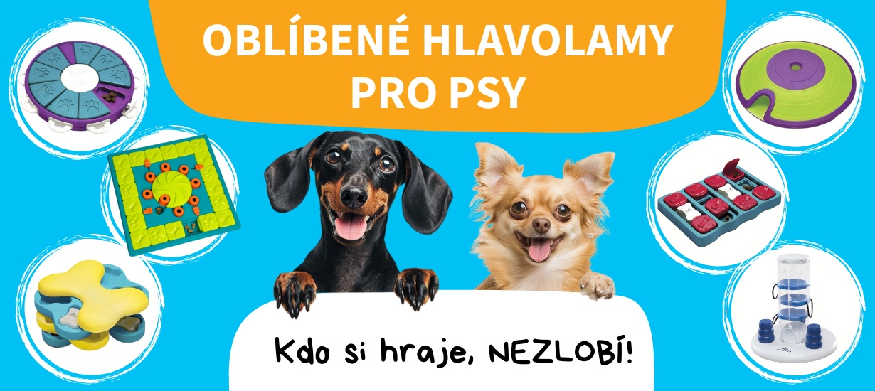 hlavolamypropsy